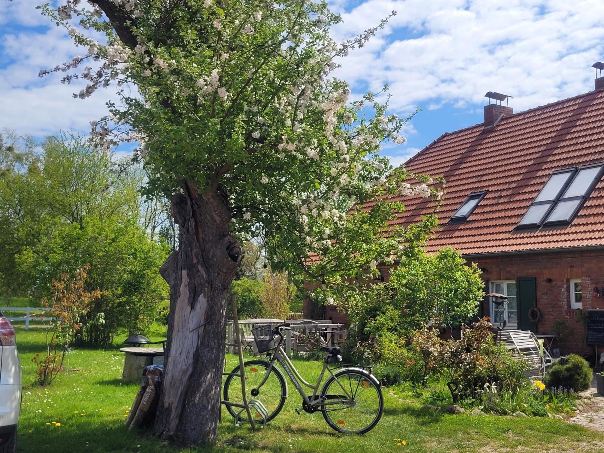 Seminar Und Landhaus Schoenbeck Schonbeck  Eksteriør bilde