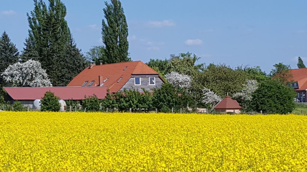 Seminar Und Landhaus Schoenbeck Schonbeck  Eksteriør bilde